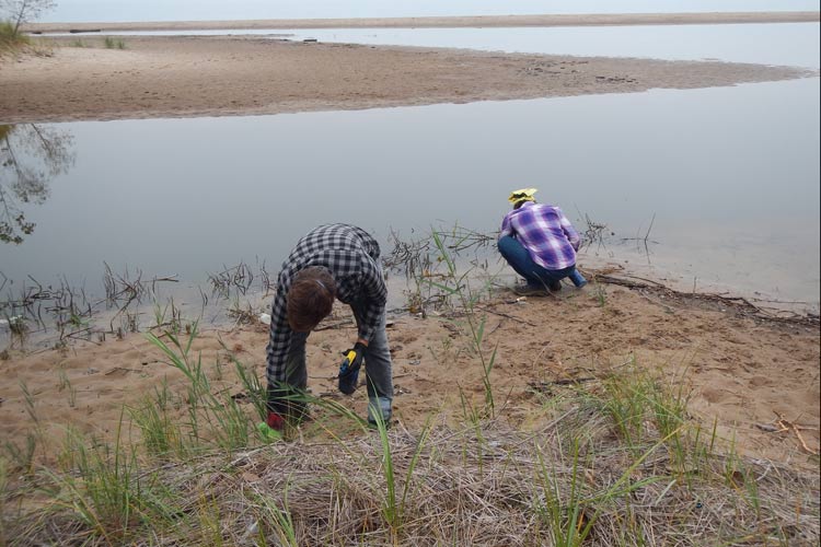 SWMLC staff monitor Invasive Species